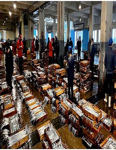 Spicy hairtail fish stew, grilled belt fish - Korean food 2022 | Story of Never Giving Up