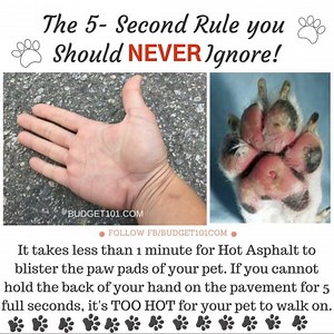 16 reactions | Believe it or not, some people are unaware of the...