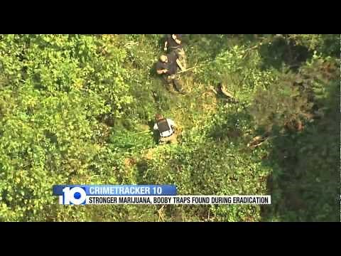 Marijuana Eradication