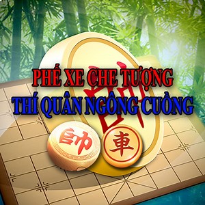 66K views · 752 reactions | Pháo đầu Công sát hủy diệt đánh tan Bình Phong Mã không còn manh giáp | Rashad Delgado | Facebook
