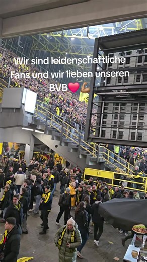 Passionate Fans of Borussia Dortmund