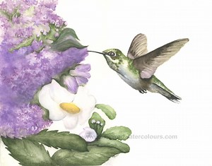 Hummingbird Wall Art Watercolour Painting, Floral Garden Bird Illustration, Spring Botanical Decor Gift - Etsy
