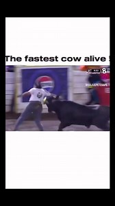 2.3K views · 49 reactions | The fastest cow alive  | Abuasco Komedy | Facebook