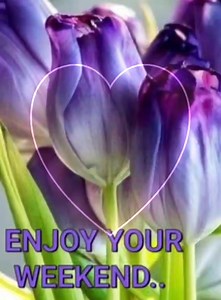 22 reactions | Purple Passion on Reels | Facebook