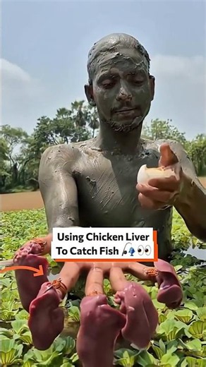 Using Chicken Liver To Catch Fish 🎣👀 #Fishing #FishingHack #ChickenLiver