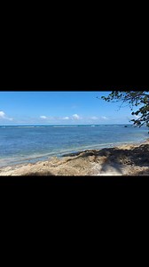 582 reactions · 38 shares | La playa de manglito en Baracoa hermoso día incredible Playa Manglito Baracoa Cuba #playa #cubanos #kuba #beach #Baracoa #hermoso #paradiso #Cuba #beachlife #playas . | Osvany Felicó | Facebook