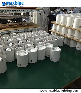 [Hot Item] 30W/35W/40W CREE COB Surface Mounted LED Downlight