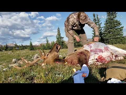 Solo Skinning and Quartering An Elk