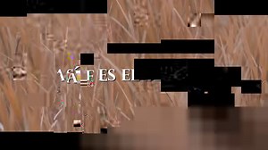 Él me levantará | Alabanzas cristianas.