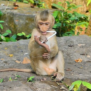 Make sad face Rainbow tear fall down when see Rainbow very sad . poor baby | SR TUBE
