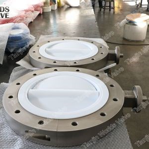 [Hot Item] Full PTFE Coating Butterfly Valve with Threaded End Connection