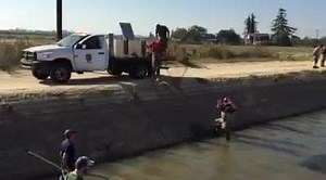 California Department of Fish and Wildlife on Reels