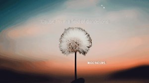 Dandelions (Lyrics) | Ruth B | Arron Rebustes cover Kindly subscribe! ☺️ https://youtube.com/c/musicthatstays | Music That Stays