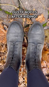 Keeping them clean and shiny with EFFAX ✨ #horses | Horze