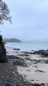 1K views · 156 reactions | An early morning walk, with the beach to ourselves  Reel by @archwaystenby #nature #earlymorningwalk #beachwalks #holidaylet #familyholiday #slowmornings #dogsofinstagram #beachwalks #pembrokeshire #ukholidays #Tenby #saundersfoot #pembrokshire #wales #morningwalks #property #holidayhome | Around Tenby | Facebook