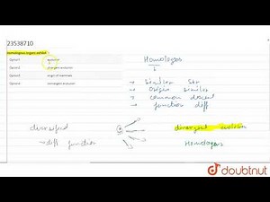 Homologous organs exhibit `:
