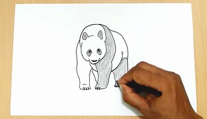 How to Draw a Panda Bear | How To Draw Simple | Facebook