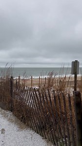 Beautiful Bethany. | Turtle Beach Cafe