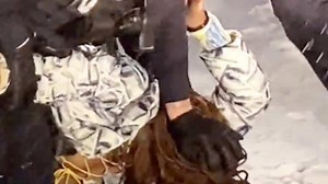 Arrestation musclée à Québec: 5 policiers suspendus, une 2e enquête déclenchée