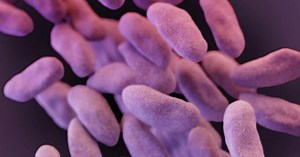 การติดเชื้อ CRE Superbug: การรักษาและการป้องกัน - ที่มีการ-Z-คู่มือ 2026