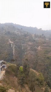 2.5K views · 131 reactions | Monkey Temple on Reels | Facebook