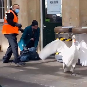 23K views · 130 reactions | And they're not going quietly! | Metro | Facebook