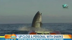 47K views · 454 reactions | Biggest Great White Shark Ever Filmed...? | Benn Gunn | Facebook