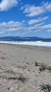Platanias beach, today 💙 | Crete Insiders