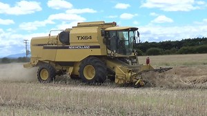 15K views · 400 reactions | Another clip of young gun Max Cresswell of Cresswell Agriculture combining a forage rape seed production / multiplication crop at "Melton Lea", Bracknell, back on 23rd December 2023. | Craig's Farming Photos & Videos | Facebook