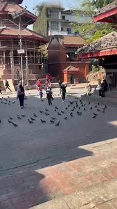 4.2K views · 57 reactions | Site Visit to Hanuman Dhoka Durbar Square by B.Arch first semester students! B.Arch first semester students sucessfully completed an insightful site visit to Hanuman Dhoka Durbar Square. The visit provided valuable learning about heritage architecture, historical structures, and cultural significance | NCIT | Facebook