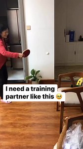 6.2K views · 181 reactions | Credit: @catloversclub | Crazy Cat Shop | Facebook