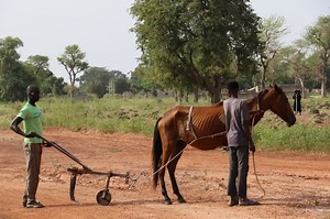 Senegal: ¿hacia un replanteamiento de la estrategia de desarrollo basada en las infraestructuras?
