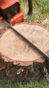 164K views · 114 reactions | Fire Inside a Growing Tree | Crafty Panda How | Facebook