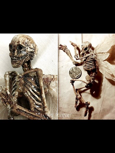 I love fairies but this is scary 😳 #scary #fairies #real #viral #fyp #pourtoi #fee