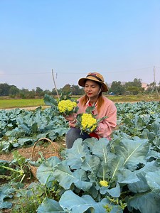2.4K views · 38 reactions | Harvest fresh cabbage garden-cooking korean Noodle Soup Recipe | Tonn Sopheak | Facebook