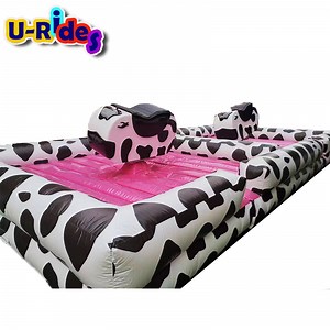 [Hot Item] Hot sale Double Inflatable Mechanical Rodeo Bull Rides for Outdoor Amusement Parks and Carnivals