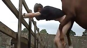 Người đàn ông điên cuồng động vật tình dục trong tư thế doggy