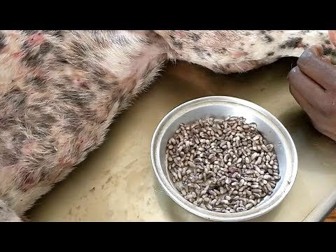 A new day has dawned in The Gambia