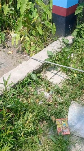 Double rod grounding #electricalwork #Lineman #safety #electricity #grounding | Lineman24.com