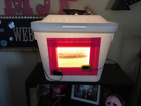 How To Make A Incubator for Reptile Eggs