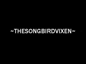 Drake ft. Lil Wayne - Hell Yeah Fuckin' Right (HYFR) (Lyrics On Screen)