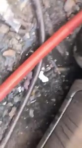 3.4K views · 18 reactions | 168 Hours on Reels | Facebook