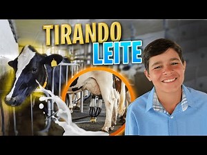 TIRANDO LEITE das VACAS na ORDENHA