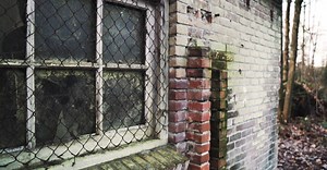 Video by Matthias Groeneveld on Pexels