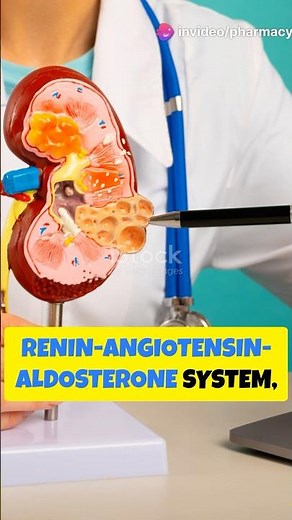 Renin-Angiotensin Aldosterone System (RAAS) #shorts #pharmacology #pharmacy #bloodpressure #study