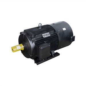 [Hot Item] Tcyp200L2-1000/22kw Frequency Variable Reluctance AC Synchronous Electric Motor
