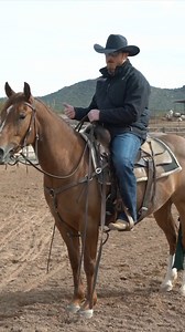 Have you ever had a horse lose its confidence? Trinity Haggard explains his process of maintaining confidence in his horses on X Factor Team Roping. Watch the full video here: https://xftr.net/MaintainingConfidence #watchlearnwin #earnit #teamroping #xfactorteamroping Cinch Jeans / Classic Equine / Martin Saddlery / Classic Rope / Equinety / Signature Equine Hospital / RodeoRigs.com / TM Bits and Spurs | X Factor Roping