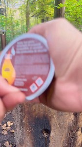 2M views · 24K reactions | #316 #trendingreelsvideo #likeforlikes #cooking #LikeAndShare #yummyfood #forest #campinglife #naturelovers #cookingwithlove #outdoorliving | Arthur Art | Facebook