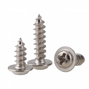 [Hot Item] 1.5mm Diameter Self Tapping Stainless Steel Machine Screw for Metal