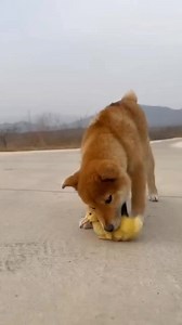 Dimitri Abramov on Reels